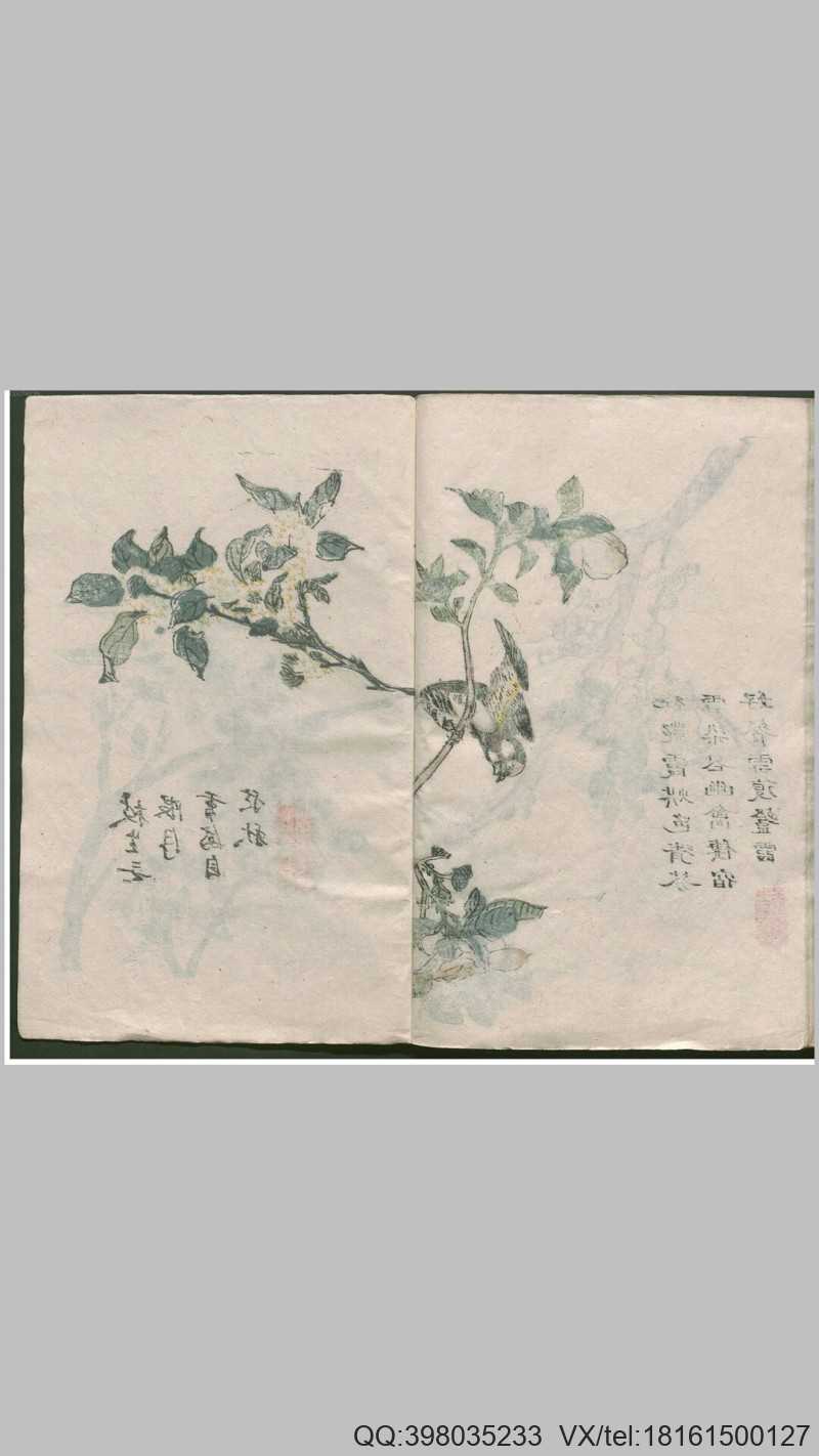 芥子园画传三集清王槩王蓍王皋辑清嘉庆间刊本