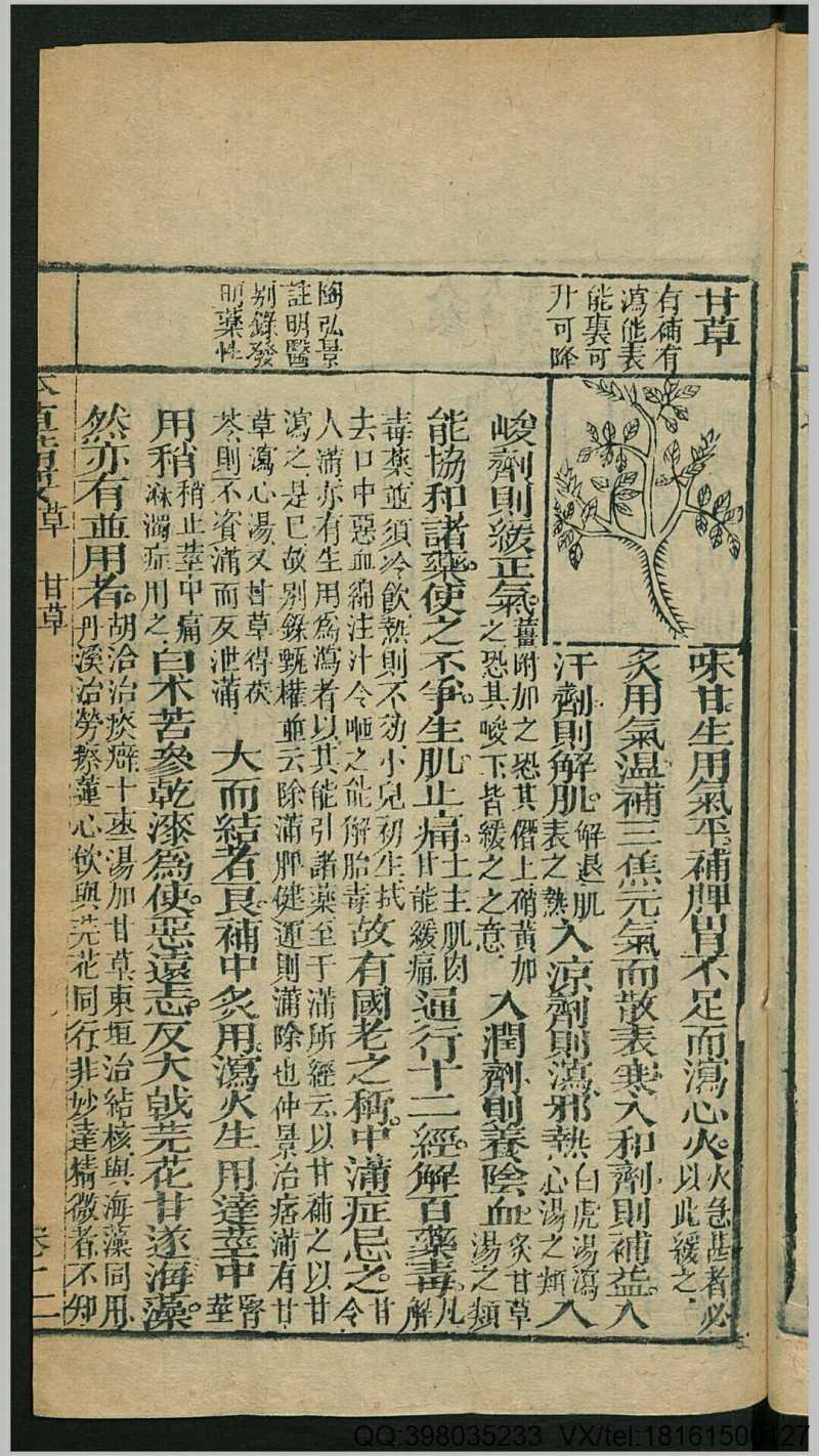 增订本草备要4卷增附经络汤头歌诀.清.汪昂撰.清康熙34年 振贤堂藏板刊本