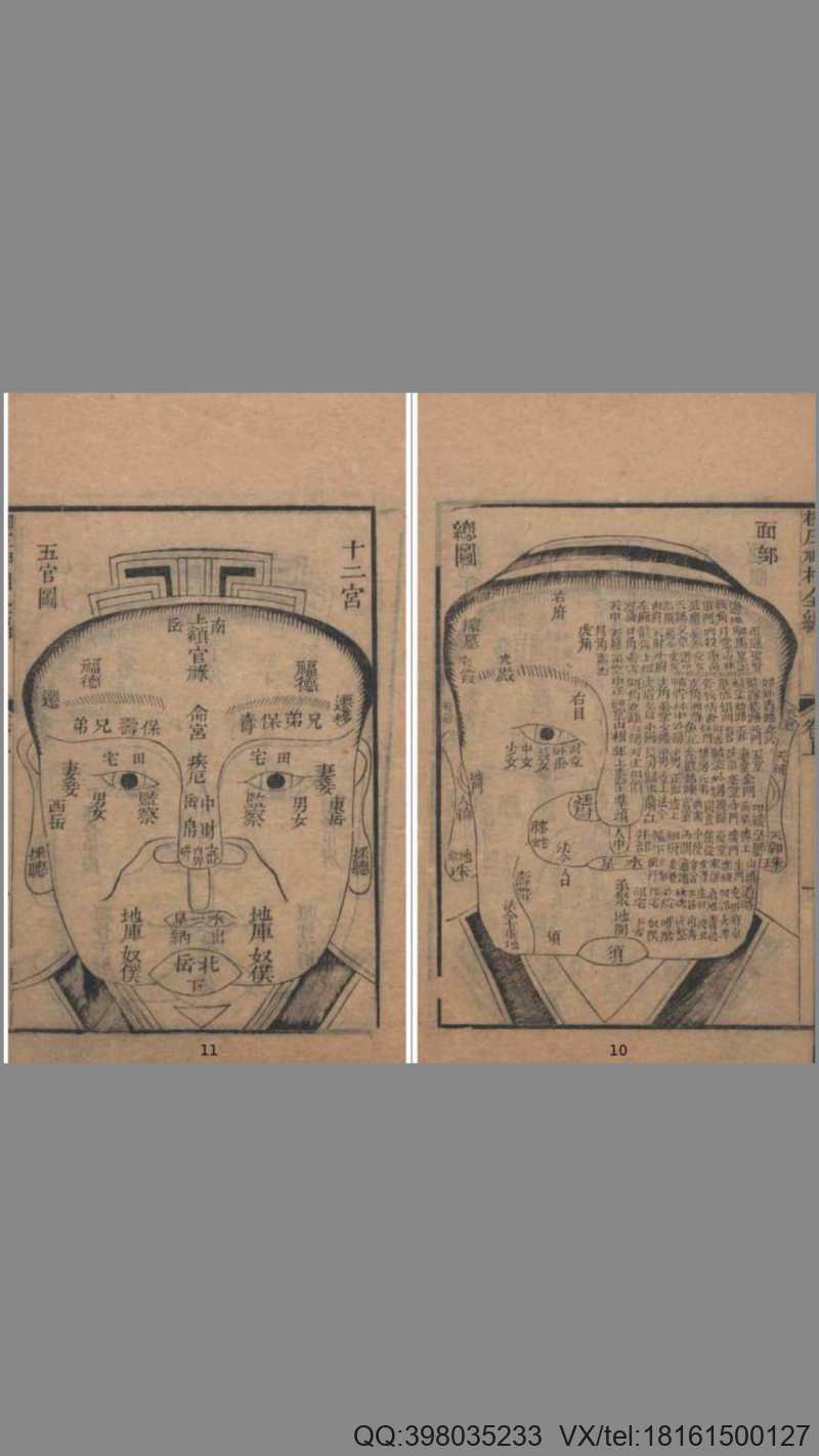 《柳庄相法》（卷上中下）扫叶山房藏板