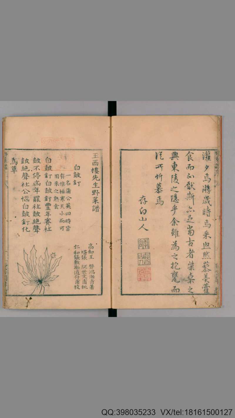 野菜谱.明.王磐撰.万历14年跋.1586年