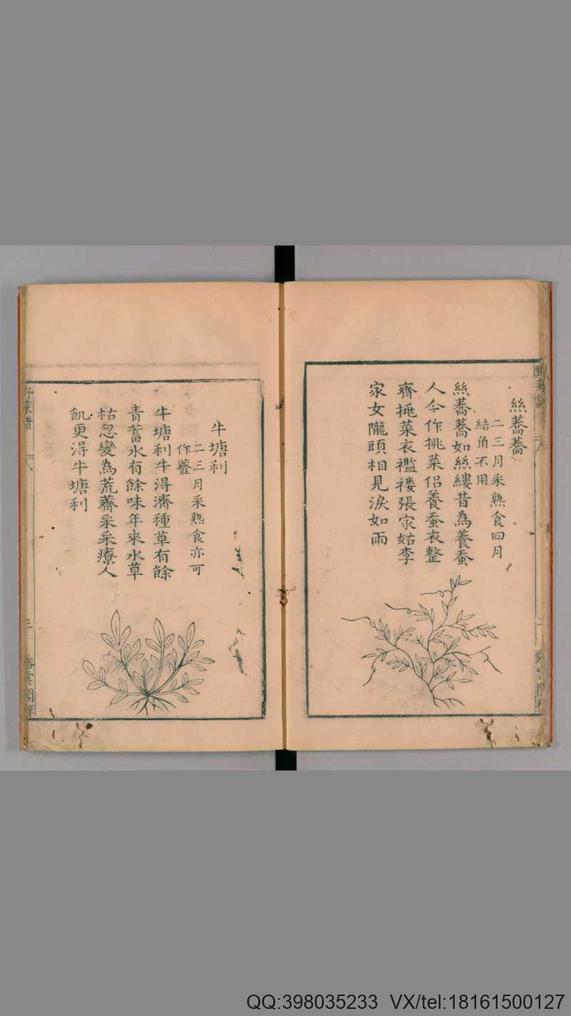 野菜谱.明.王磐撰.万历14年跋.1586年