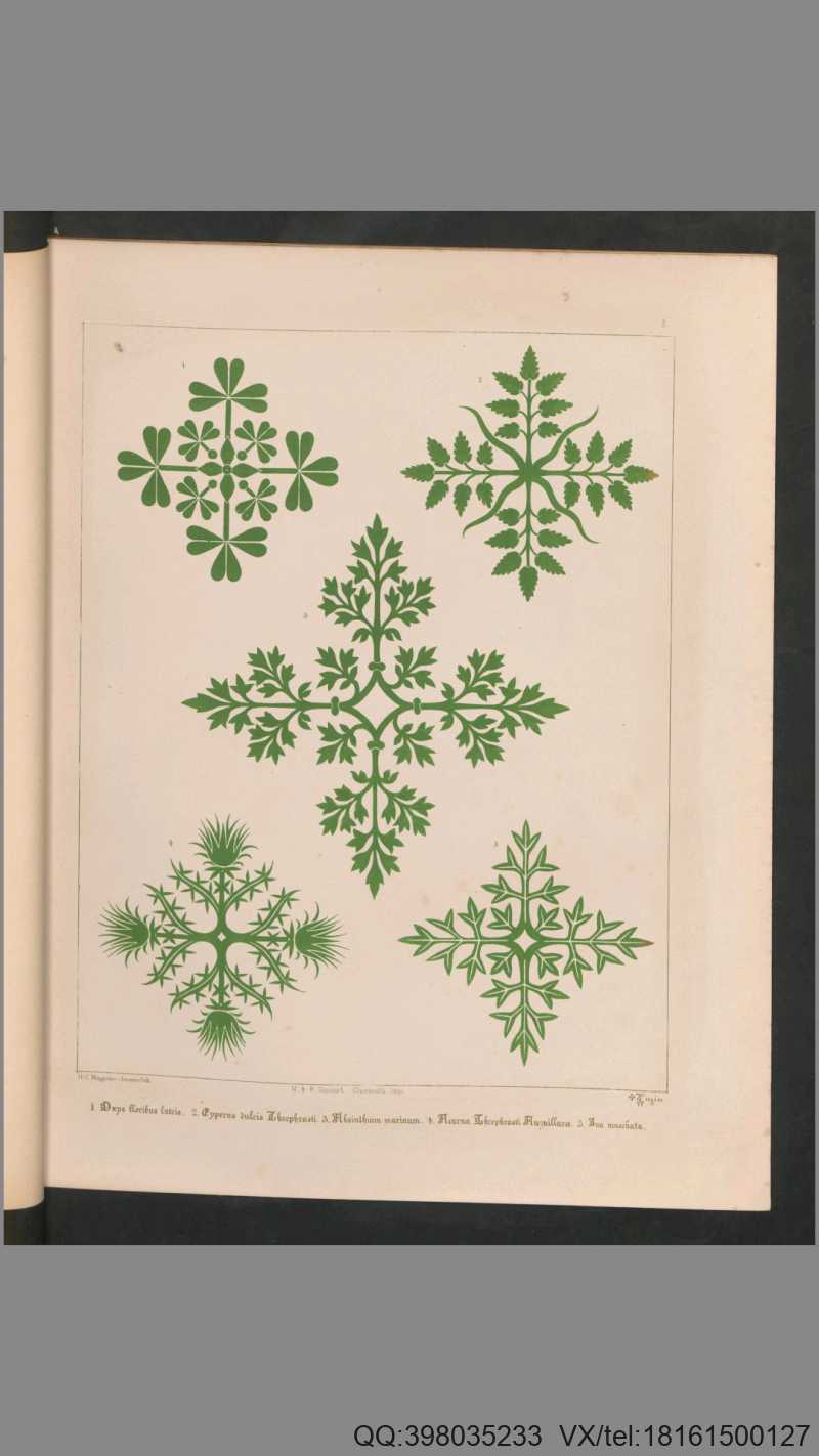 花卉装饰图案.31种.Floriated ornament.a series of thirty-one designs.by Augustus Welby Pugin.1849年