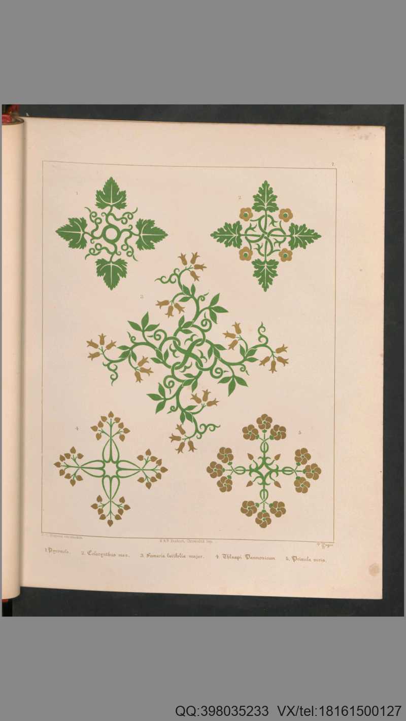 花卉装饰图案.31种.Floriated ornament.a series of thirty-one designs.by Augustus Welby Pugin.1849年