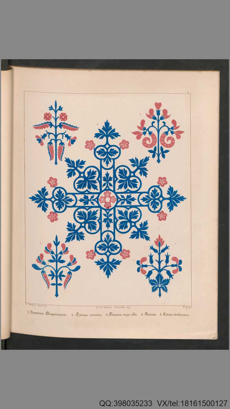 花卉装饰图案.31种.Floriated ornament.a series of thirty-one designs.by Augustus Welby Pugin.1849年