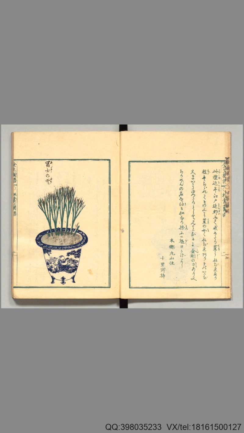 松叶兰谱.长生舍主人著.天保7年.1836