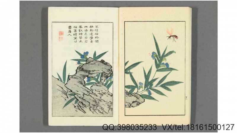 芥子园翎毛花果谱. 下冊 