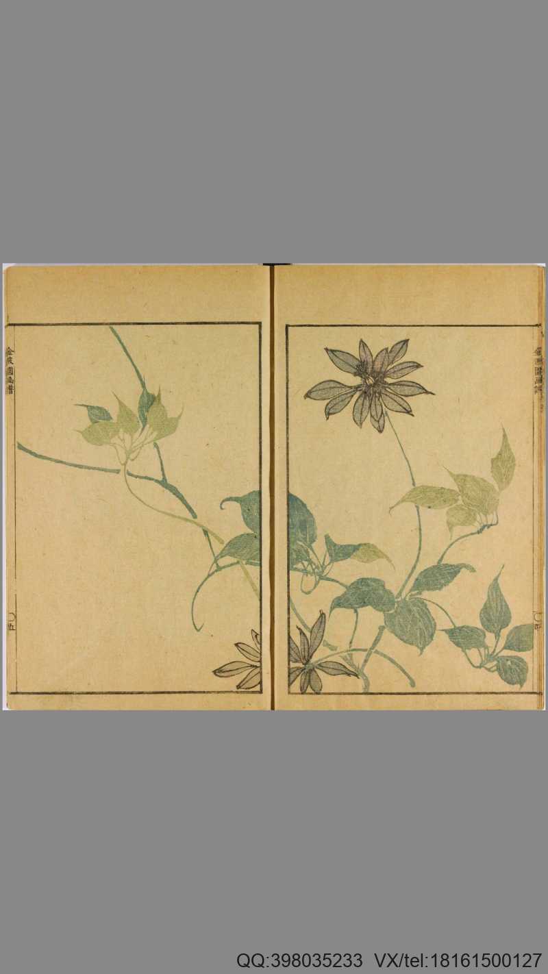 金波园画谱.河村文凤画.文政3年.1820年.含两个版本