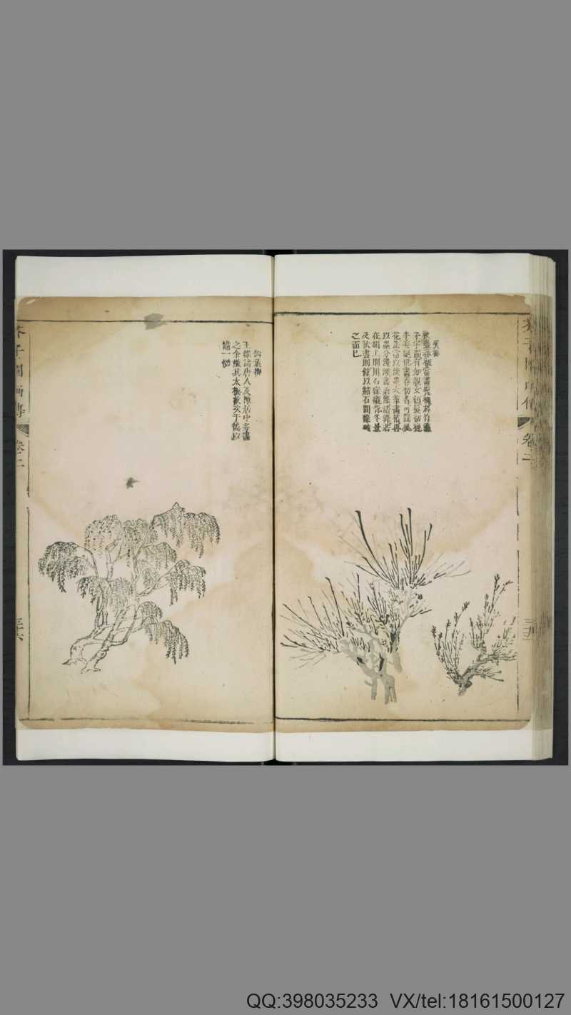 芥子园画传.三集.王概等编.清康熙年间彩色套印本