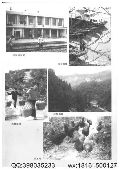 嵊县志（1-7册）-4.pdf