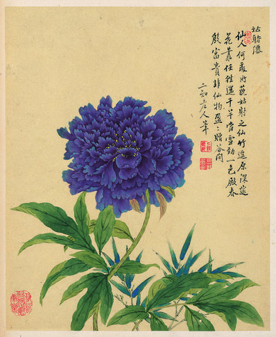 清_邹一桂_花卉八开_牡丹图_纸本_(3115x3793 - 300dpi)