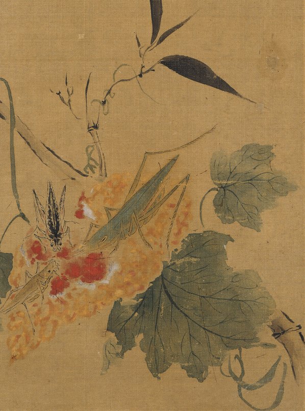 清_恽寿平_花鸟草虫图八_4_(3200x4314 - 400dpi)