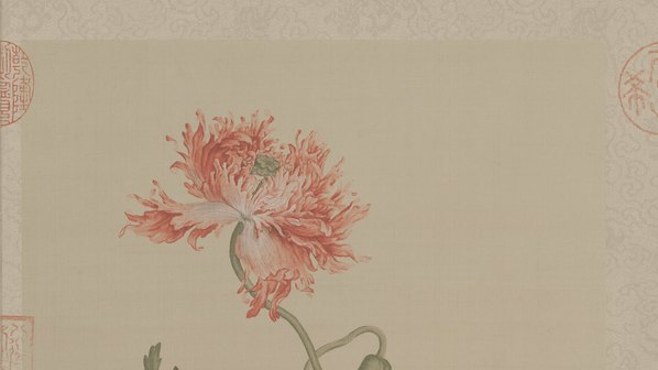 清_郎世宁_花鸟图册_55_(10236x5748 - 400dpi)