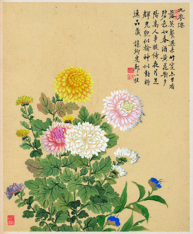 清_邹一桂_花卉八开_菊花图_纸本_(3088x3732 - 300dpi)