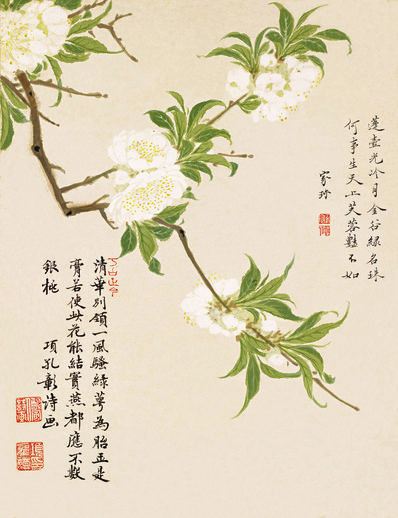 明_项圣谟_花卉十开_纸本_4_(825x1074 - 72dpi)