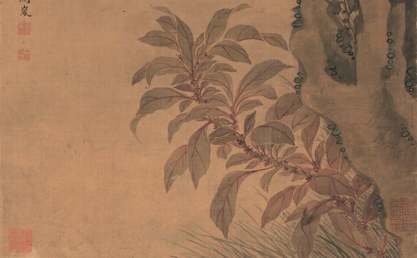 清_阙岚_花鸟_梧桐白头图_绢本_(4806x11878 - 300dpi)