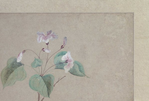 明_文俶_花卉图册页_北京故宫张_第一_(5749x3923 - 300dpi)