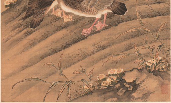 明_丘鉴_芙蓉芦雁图轴_绢本安_(8023x19436 - 300dpi)