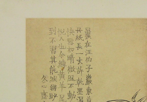 清_金农_花卉图册_浙江省博物馆_11_(4294x3000 - 300dpi)