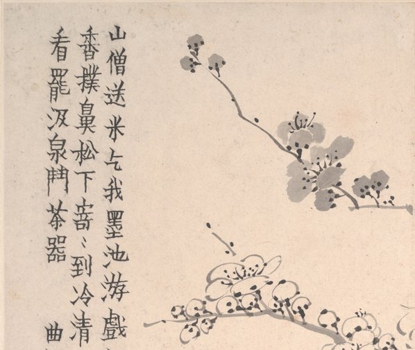 清_金农_梅花图册页大都会_7_(5750x4852 - 600dpi)