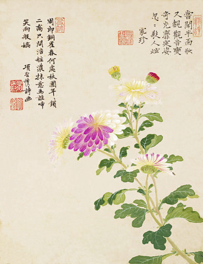 明_项圣谟_花卉十开_纸本_1_(4010x5223 - 350dpi)