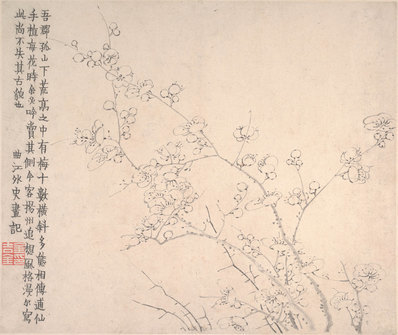 清_金农_梅花图册页大都会_11_(5750x4838 - 600dpi)