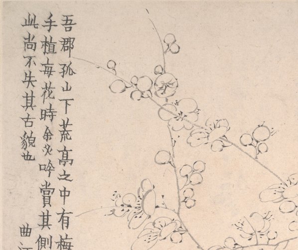 清_金农_梅花图册页大都会_11_(5750x4838 - 600dpi)