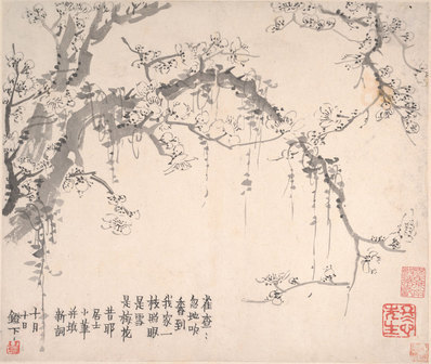 清_金农_梅花图册页大都会_4_(5750x4850 - 600dpi)