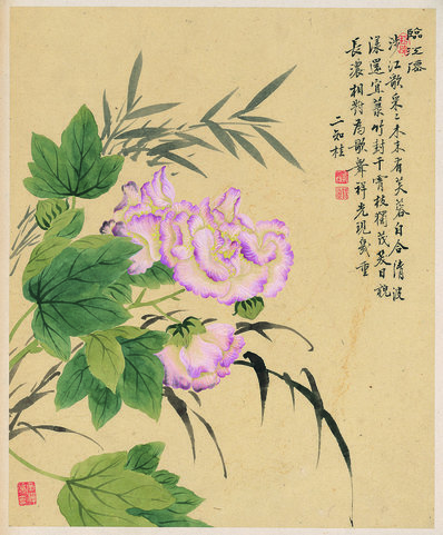 清_邹一桂_花卉八开_芙蓉竹子图_纸本_(3103x3751 - 300dpi)