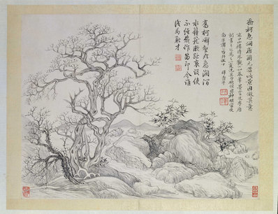 清_恽寿平_山水花鸟图册之乔柯急_(4870x3741 - 300dpi)