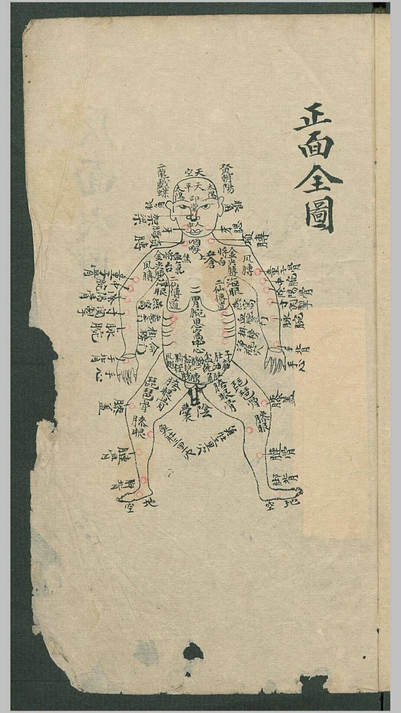 秘传跌打钹方