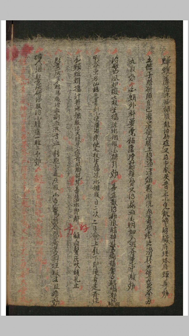 家藏医药抄本, 1882