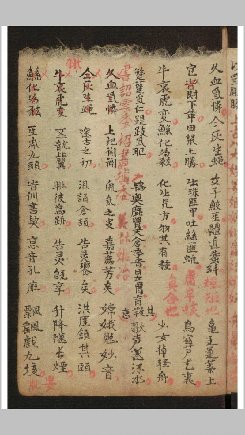 家藏医药抄本, 1882