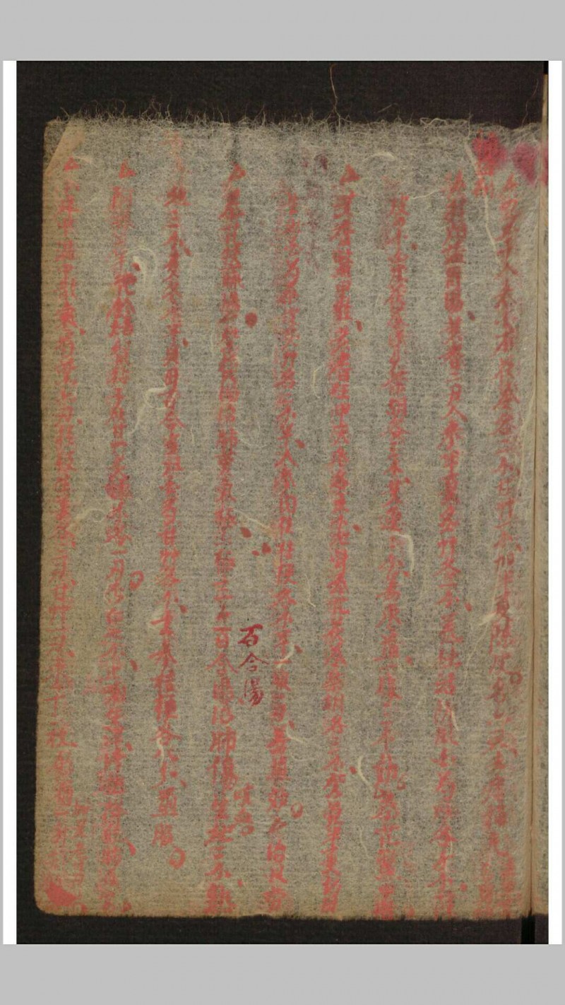 家藏医药抄本, 1882