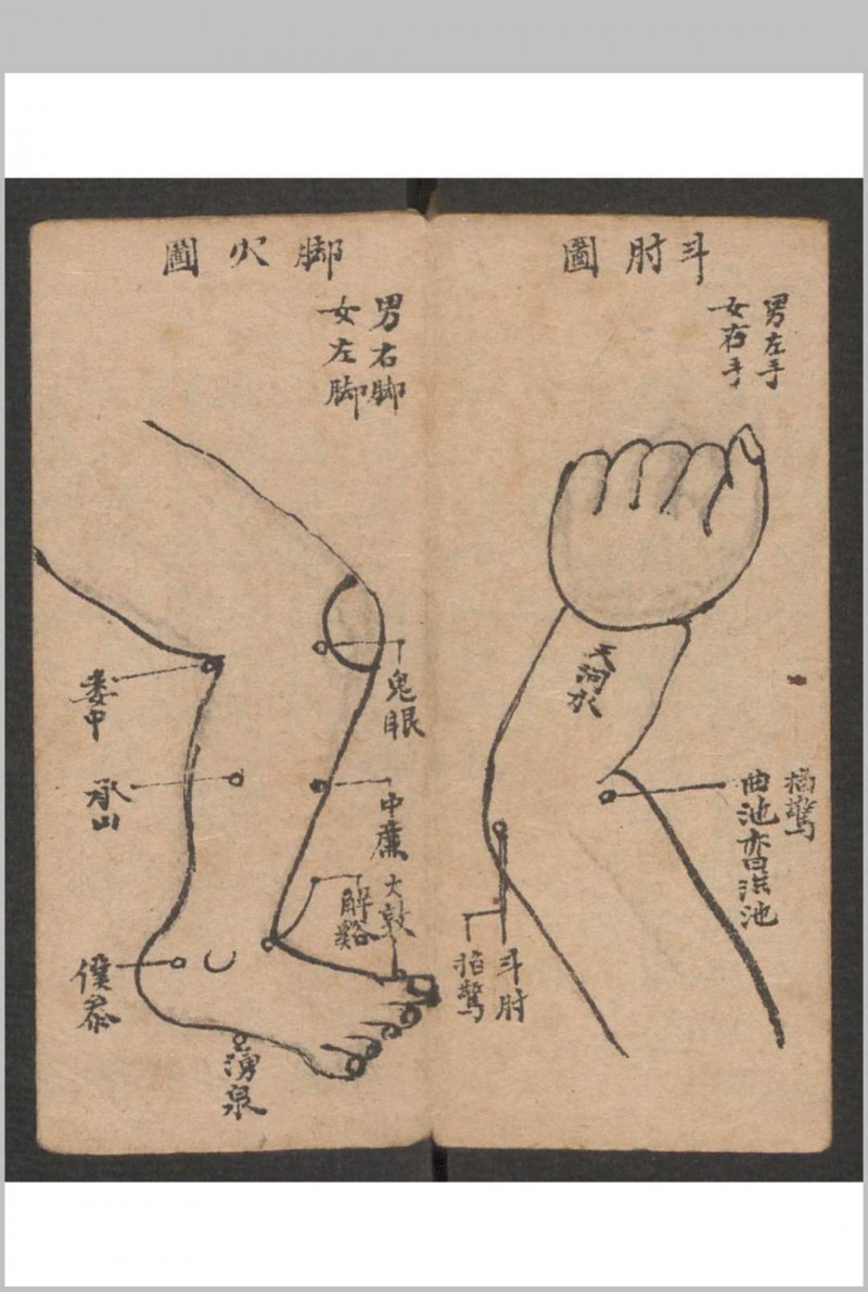 小儿科 , 1895