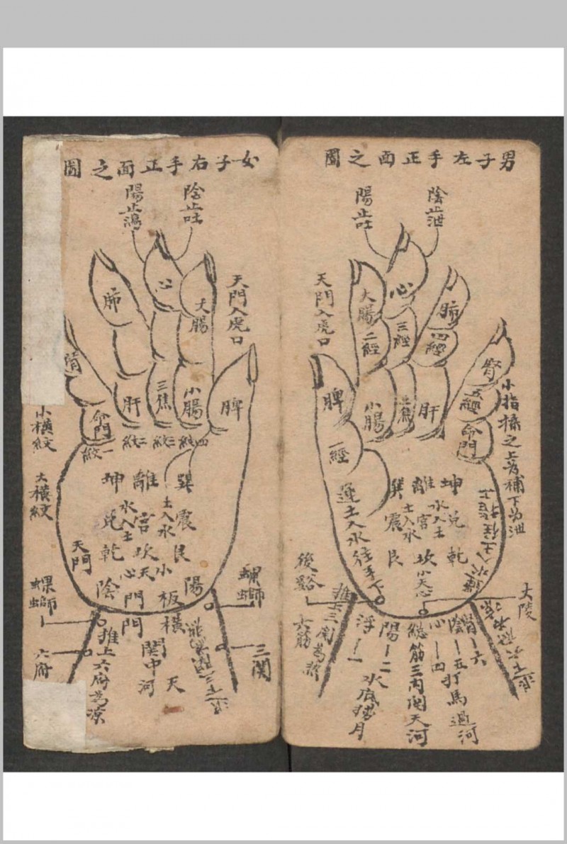 小儿科 , 1895