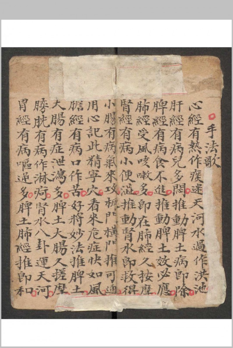 小儿科 , 1895