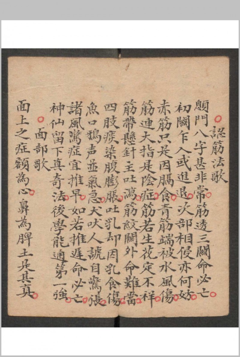 小儿科 , 1895