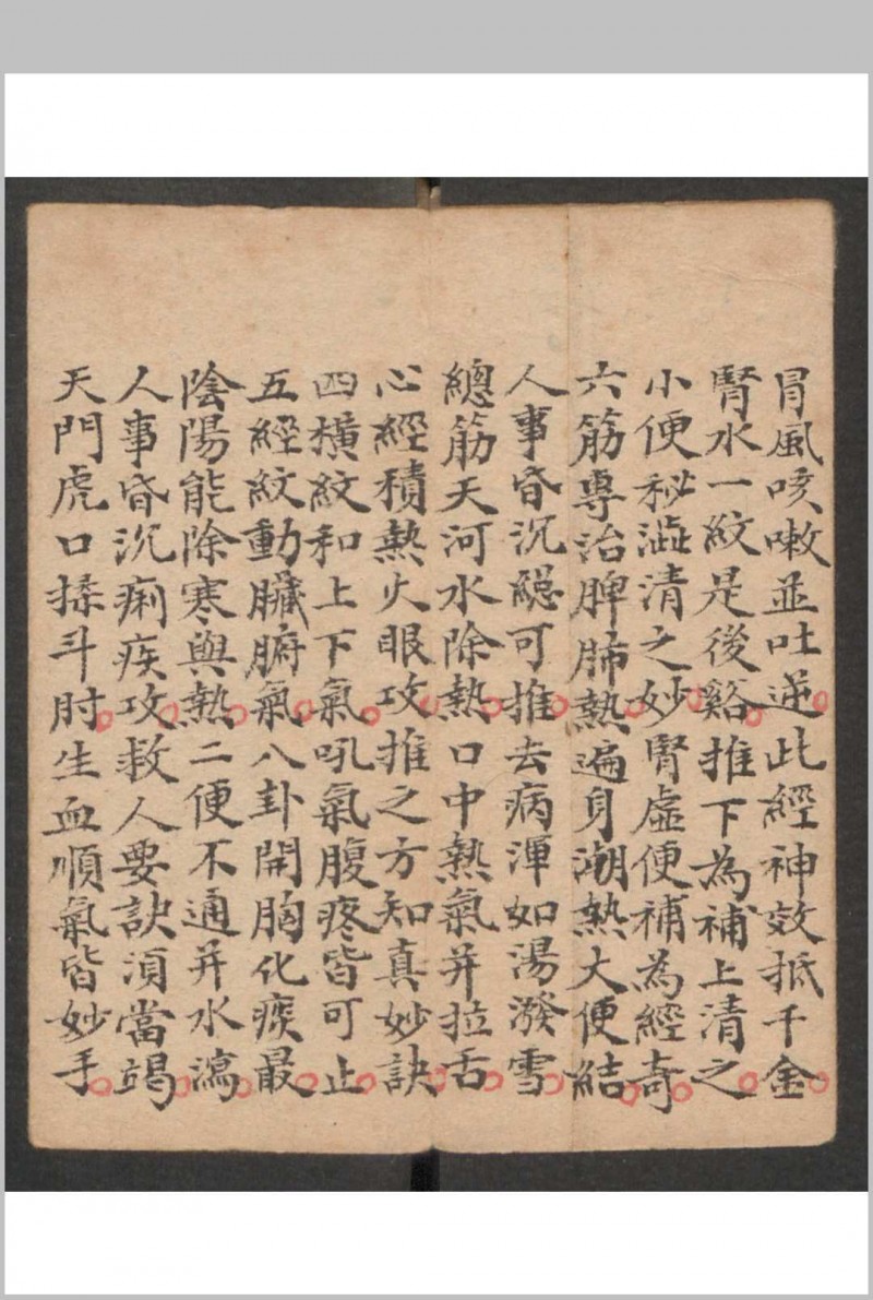 小儿科 , 1895