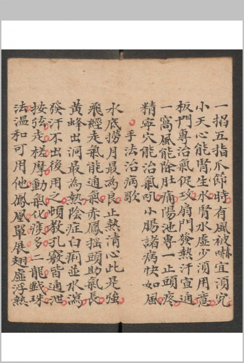 小儿科 , 1895