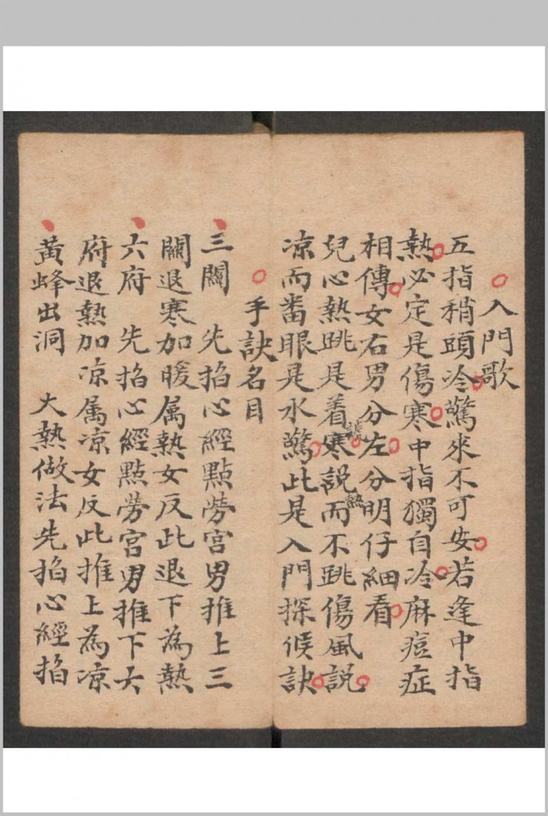 小儿科 , 1895