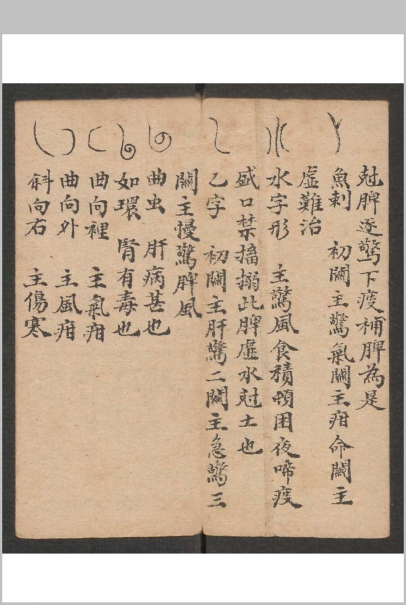 小儿科 , 1895