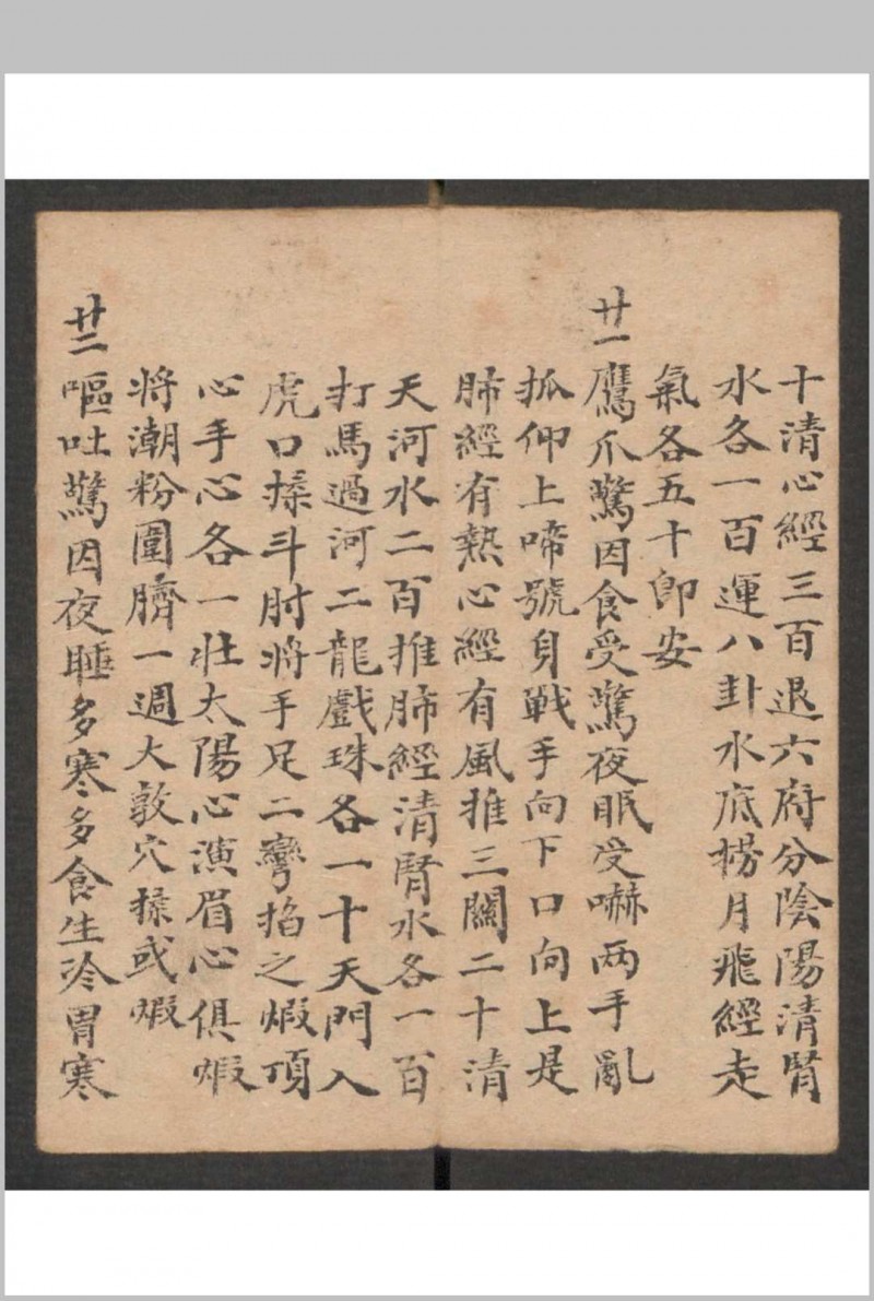 小儿科 , 1895