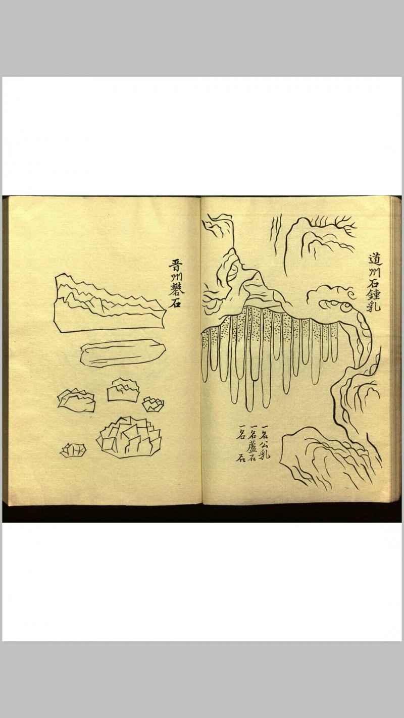 绍兴校定经史证类备急本草画(据卷二至五目录题) 五卷 (宋) 高绍功 等校定