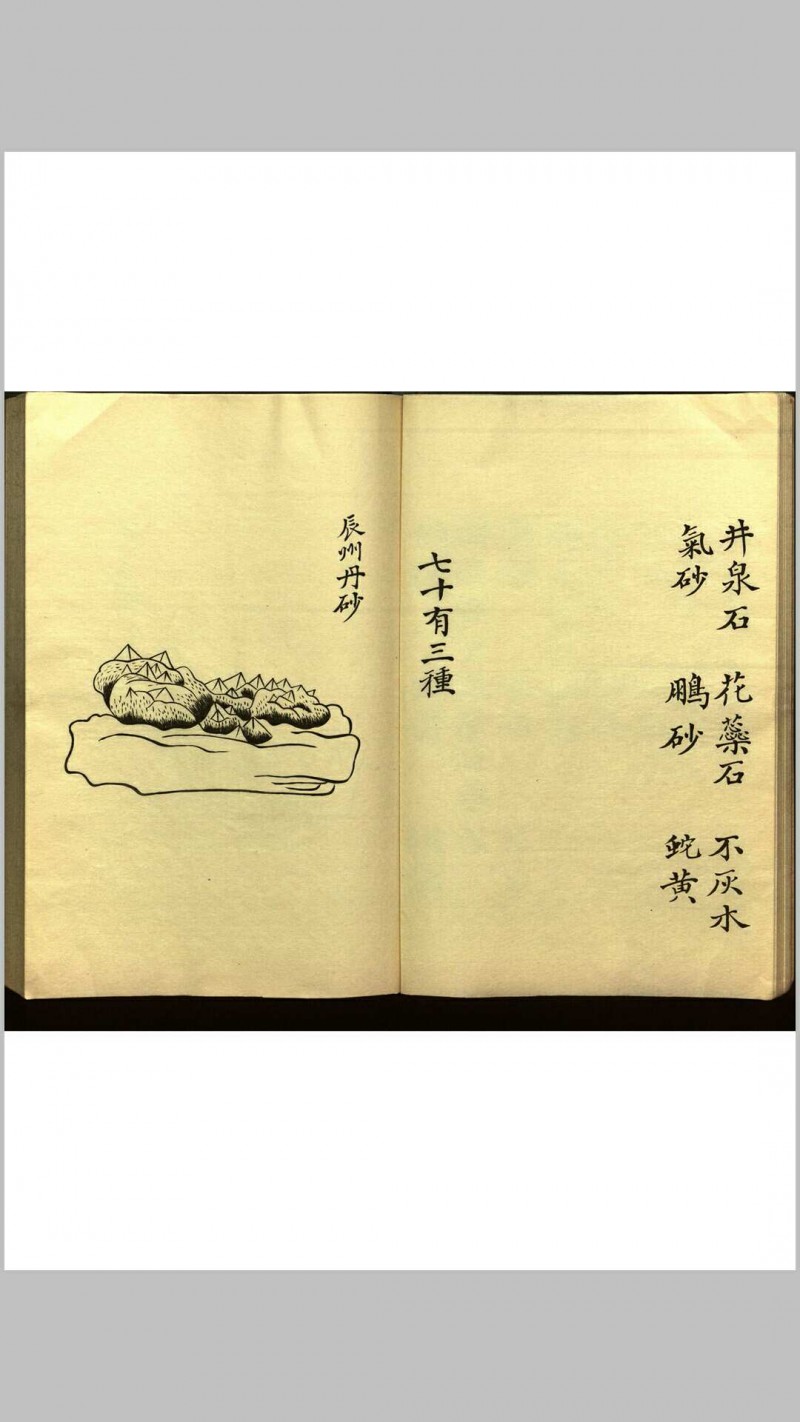 绍兴校定经史证类备急本草画(据卷二至五目录题) 五卷 (宋) 高绍功 等校定