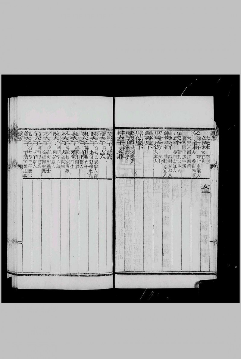 会试同年齿录 光绪3年 丁丑科[1877], 龙文斋