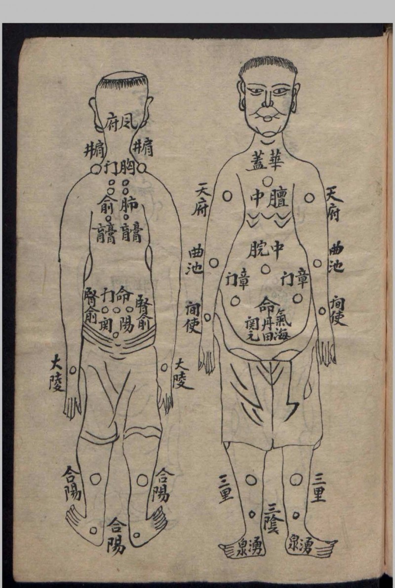 诸葛一生    何文元  伤外科