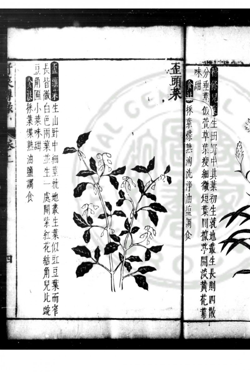 野菜博录 (明)鲍山撰 明天启壬戌(二年)新安鲍氏原刊本