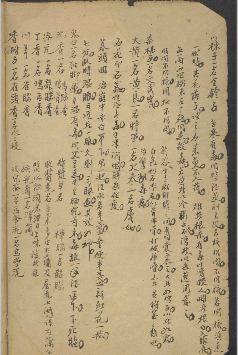 纪云 药及方杂抄   1900