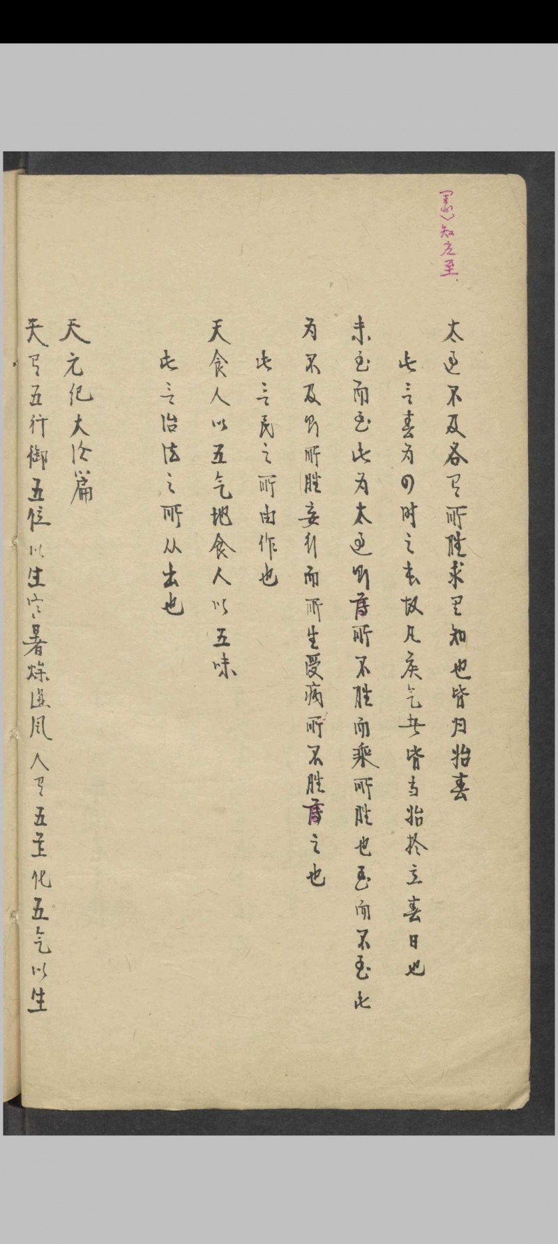 陆懋修 内经运气病释   1900