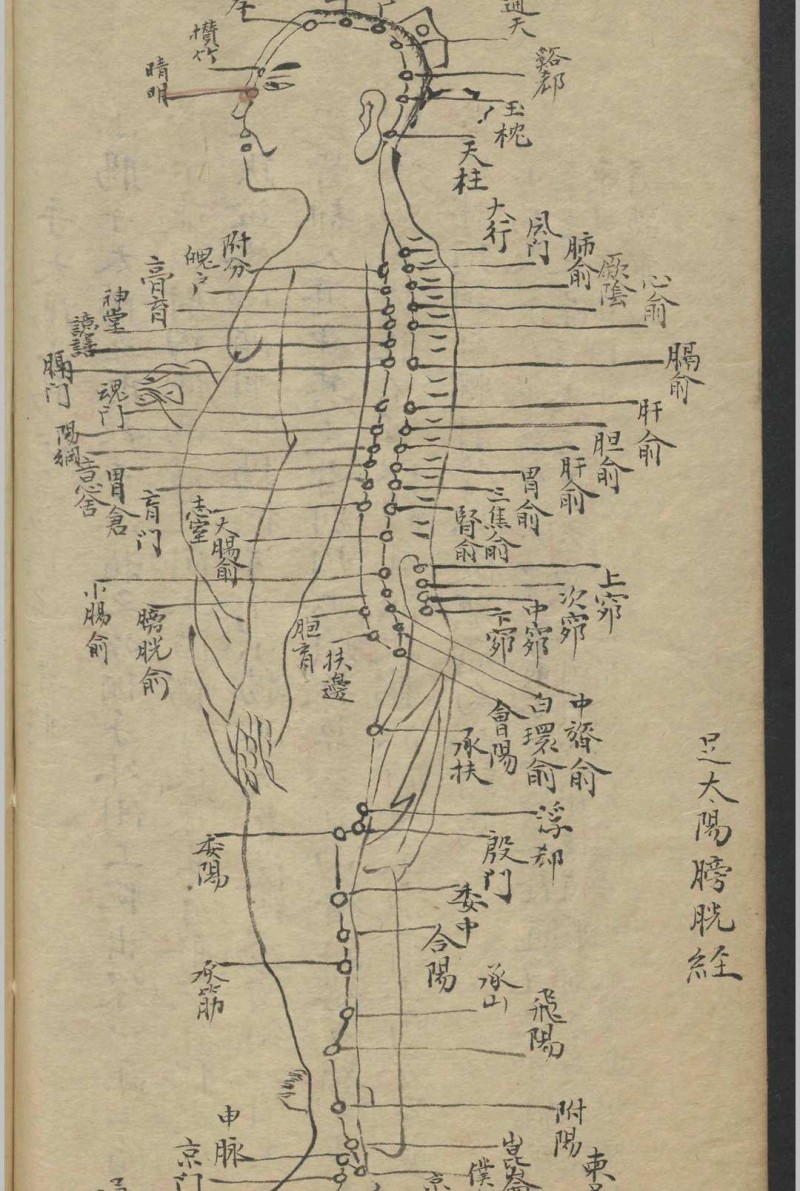 郭佩兰 经穴指南   1800